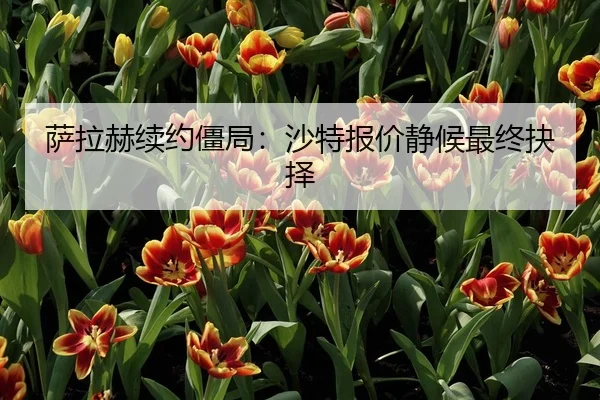 萨拉赫续约僵局：沙特报价静候最终抉择