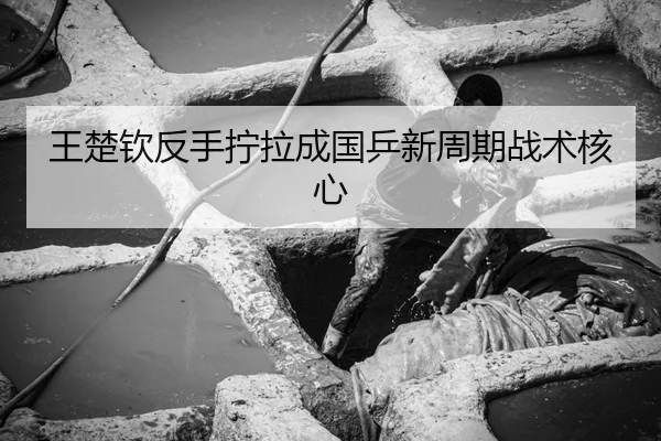 王楚钦反手拧拉成国乒新周期战术核心